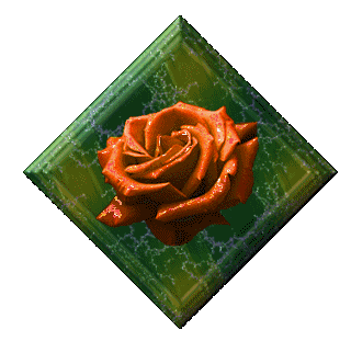 rosa-imagen-animada-0018