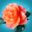 rosa-imagen-animada-0114