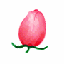 rosa-imagen-animada-0134