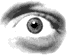 ojo-imagen-animada-0173