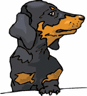 perro-salchicha-imagen-animada-0023