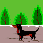 perro-salchicha-imagen-animada-0038