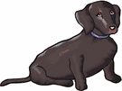 perro-salchicha-imagen-animada-0043