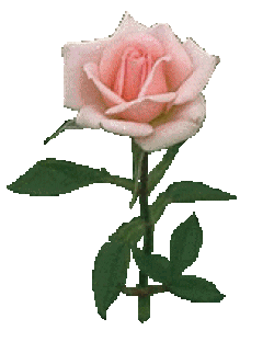 gracias-imagen-animada-0201