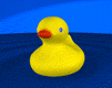 pato-imagen-animada-0082