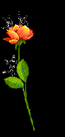 flor-imagen-animada-0022