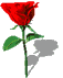 flor-imagen-animada-0132