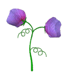 flor-imagen-animada-0448