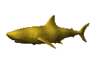 tiburon-imagen-animada-0036