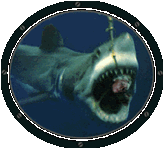 tiburon-imagen-animada-0053