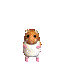 hamster-imagen-animada-0028