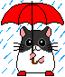 hamster-imagen-animada-0040