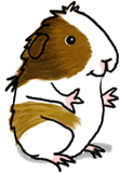 hamster-imagen-animada-0114