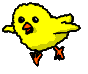 pollo-imagen-animada-0057