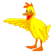 pollo-imagen-animada-0114