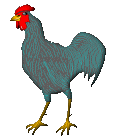 pollo-imagen-animada-0129