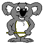 koala-imagen-animada-0008