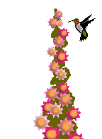 colibri-imagen-animada-0048