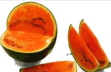 melon-imagen-animada-0016