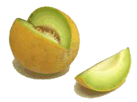melon-imagen-animada-0039