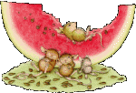 melon-imagen-animada-0040