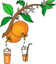 naranja-imagen-animada-0004