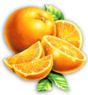 naranja-imagen-animada-0041