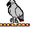 loro-imagen-animada-0035