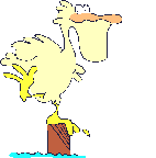 pelicano-imagen-animada-0016