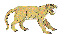 depredador-imagen-animada-0006