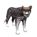 depredador-imagen-animada-0036
