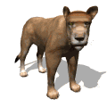 depredador-imagen-animada-0181