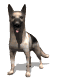perro-pastor-imagen-animada-0007