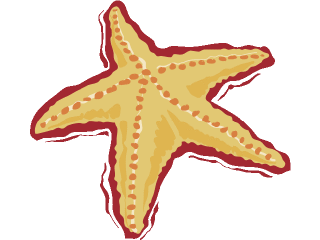 estrella-de-mar-imagen-animada-0015