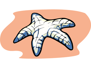 estrella-de-mar-imagen-animada-0024