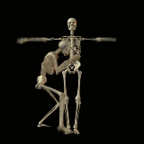 Esqueletos