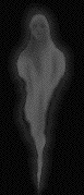 fantasma-y-espiritu-imagen-animada-0080