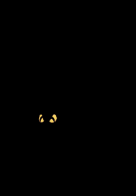 bruja-imagen-animada-0151