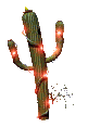 cactus-imagen-animada-0010