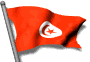 bandera-de-tunez-imagen-animada-0012