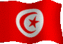 bandera-de-tunez-imagen-animada-0013