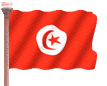 bandera-de-tunez-imagen-animada-0017
