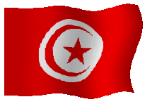 bandera-de-tunez-imagen-animada-0022