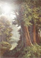 paisaje-y-panorama-imagen-animada-0008