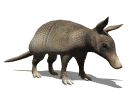 armadillo-imagen-animada-0005