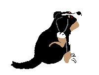 boyero-de-berna-imagen-animada-0162