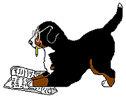 boyero-de-berna-imagen-animada-0196