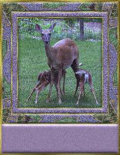 placa-sin-nombre-imagen-animada-0762